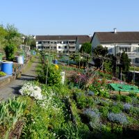 JA zur Initiative «Mehr bezahlbare Wohnungen» am 30. November